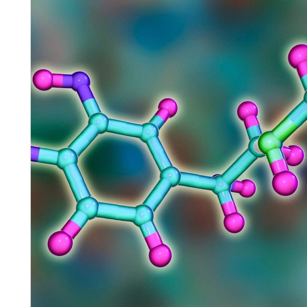La oxitocina conocida como la hormona del amor